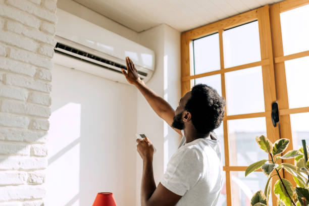 Best Air Filters and Purifiers in Pella, IA
