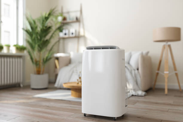 Best Air Filters and Purifiers in Pella, IA